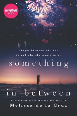 Something in Between 0373212453 Book Cover