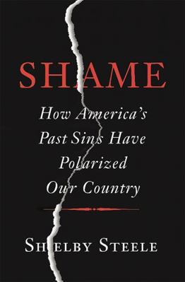 Shame: How America's Past Sins Have Polarized O... 0465066976 Book Cover