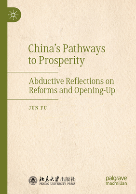 China's Pathways to Prosperity: Abductive Refle... 9819621984 Book Cover