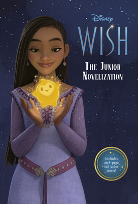 Disney Wish: The Junior Novelization 073644405X Book Cover