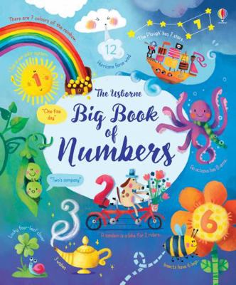 Big Book Of Numbers 1474937195 Book Cover