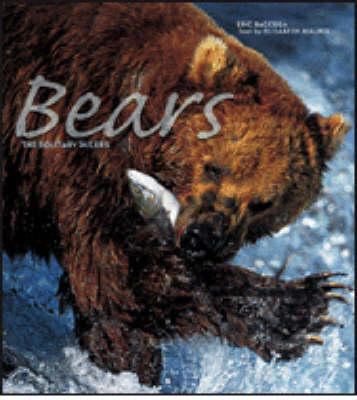 Bears 8854402273 Book Cover