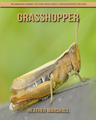 Paperback Grasshopper: An Amazing Animal Picture Book about Grasshopper for Kids [Large Print] Book