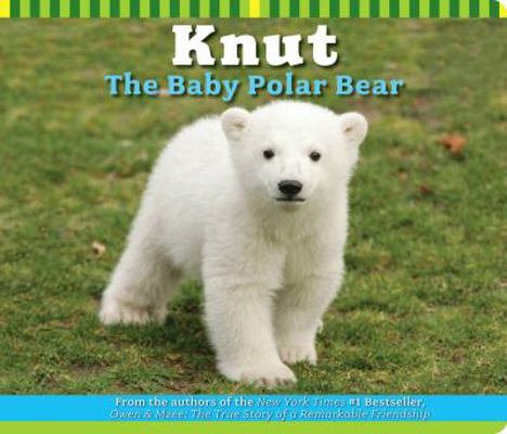 Knut the Baby Polar Bear B007CJG5JC Book Cover
