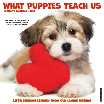 What Puppies Teach Us 2023 Wall Calendar 154922817X Book Cover