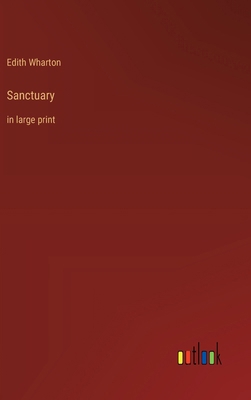 Sanctuary: in large print 3368367412 Book Cover