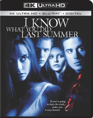 I Know What You Did Last Summer            Book Cover