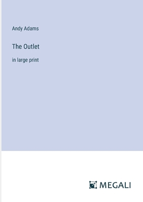 The Outlet: in large print 3387016042 Book Cover