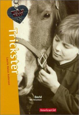 The Trickster: David 1584850477 Book Cover