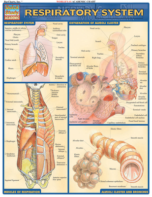 Respiratory System 1572225920 Book Cover