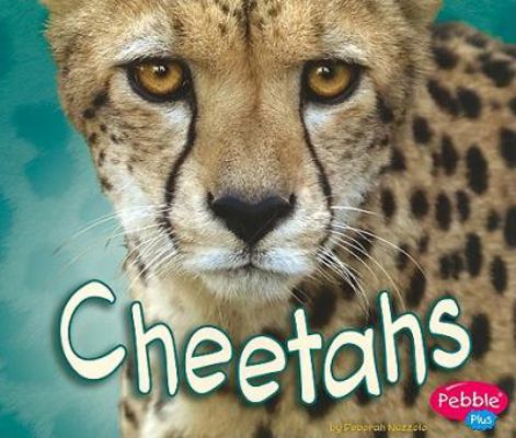 Cheetahs (African Animals) 1429648783 Book Cover