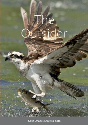 The Outsider 1387547747 Book Cover