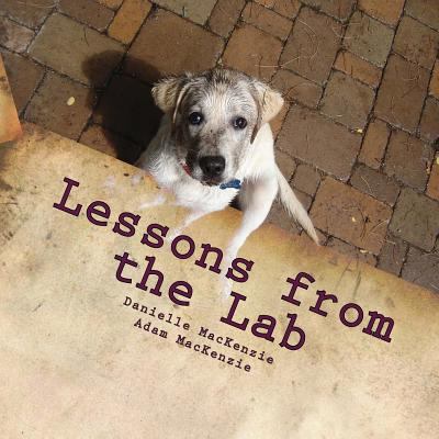 Lessons from the Lab: 26 Life Lessons You Can L... 1482391384 Book Cover