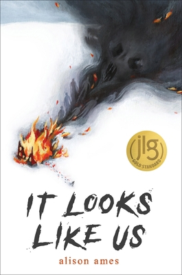 It Looks Like Us 1645676188 Book Cover