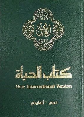 Arabic / English Bilingual New Testament, NIV E... 1563200090 Book Cover
