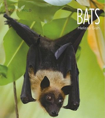 Living Wild: Bats 0898125499 Book Cover
