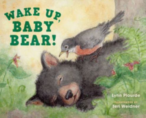 Wake Up, Baby Bear! 1608939715 Book Cover