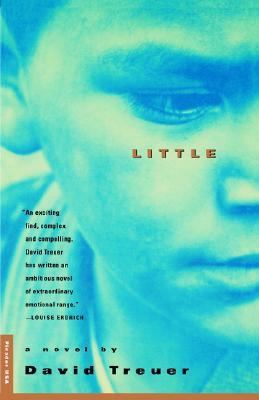 Little: A Novel 0312151640 Book Cover