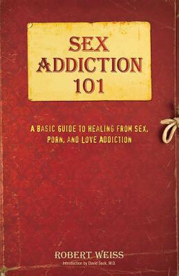 Sex Addiction 101: A Basic Guide to Healing fro... 0757318436 Book Cover