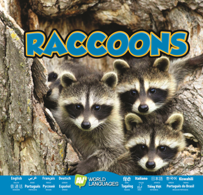 Raccoons B0GMYPBDSG Book Cover