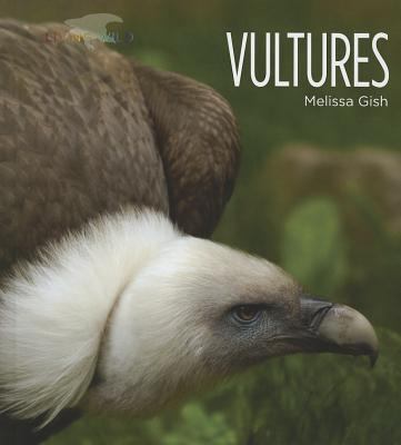 Vultures 1608181715 Book Cover