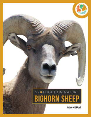 Bighorn Sheep 1682777847 Book Cover