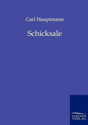 Schicksale [German] 3846000698 Book Cover
