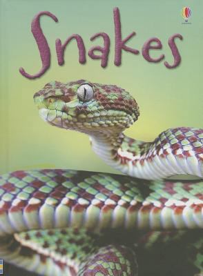 Snakes 0794526861 Book Cover