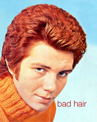 Bad Hair 1582343292 Book Cover