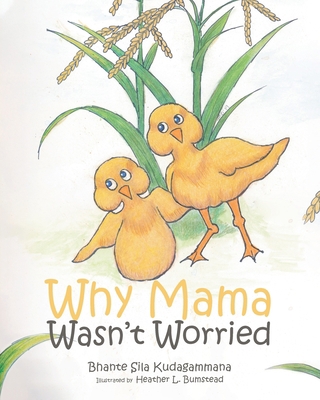 Why Mama Wasn't Worried 1645316009 Book Cover