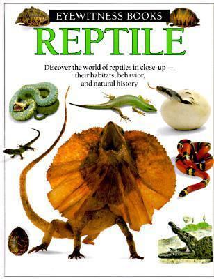 Reptile 0679807837 Book Cover