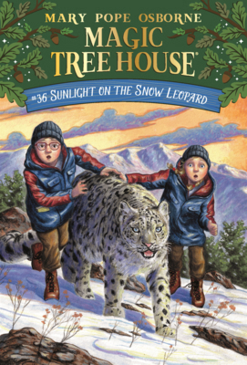 Sunlight on the Snow Leopard B0GMZ2KQD4 Book Cover