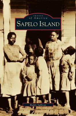 Sapelo Island 1531603823 Book Cover