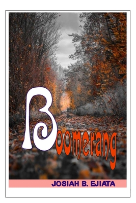 Boomerang 170203075X Book Cover