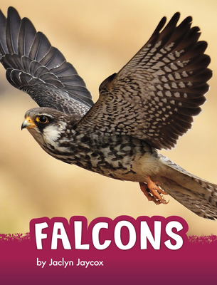 Falcons 1666342793 Book Cover