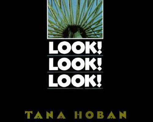 Look! Look! Look! 0688072399 Book Cover
