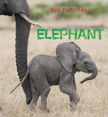 Elephant 1847805035 Book Cover