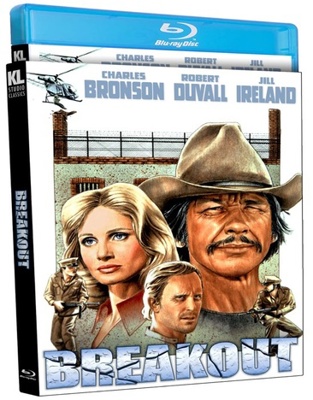 Breakout B09RQ5132Z Book Cover