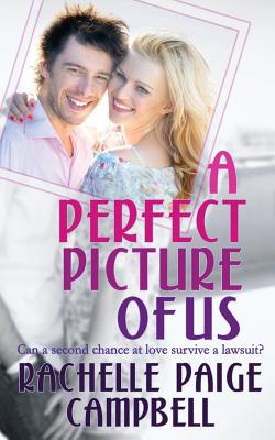 A Perfect Picture of Us 1509223835 Book Cover