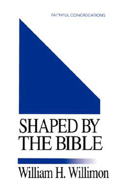 Shaped by the Bible 0687126568 Book Cover