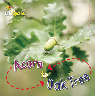 Acorn to Oak Tree 1609920457 Book Cover