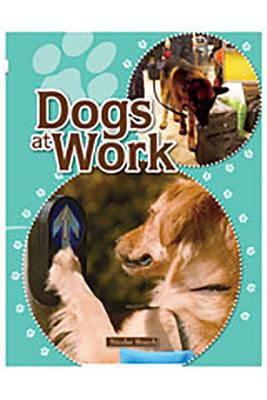Rigby Focus Forward: Leveled Reader Dogs at Work 1419038532 Book Cover