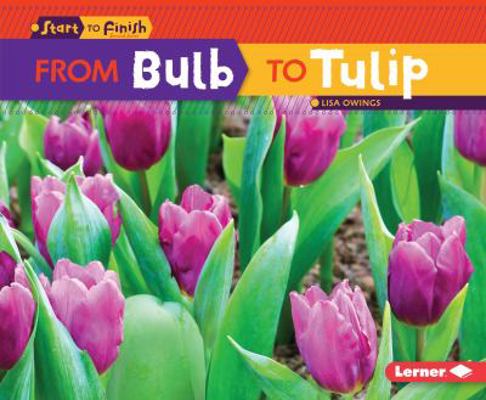 From Bulb to Tulip 1467760218 Book Cover