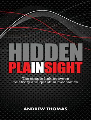 Hidden In Plain Sight: The Simple Link Between ... 1494562073 Book Cover