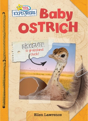 Baby Ostrich 1649962215 Book Cover