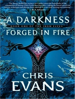 A Darkness Forged in Fire 1400108365 Book Cover