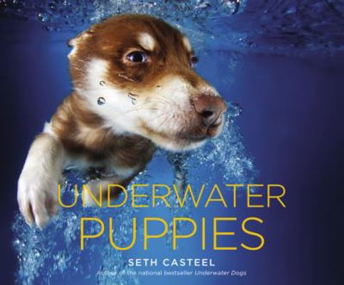 Underwater Puppies 0316254894 Book Cover
