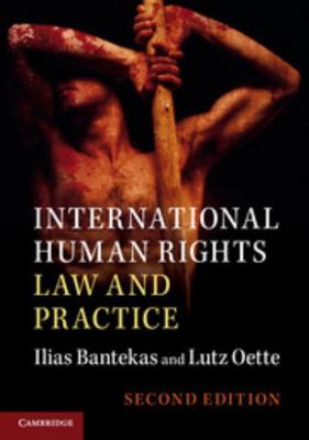 International Human Rights Law and Practice 1107562112 Book Cover