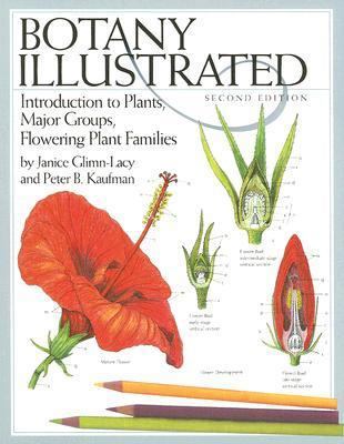 Botany Illustrated: Introduction to Plants, Maj... 0387288708 Book Cover