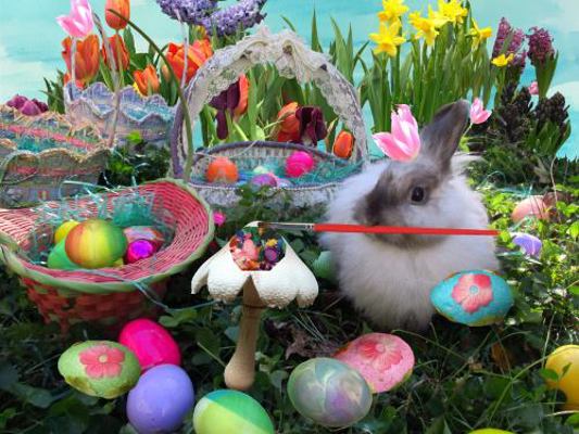 Easter Egg Mountain! : Bunny Friends Easter Adventure Series #2 Of 5